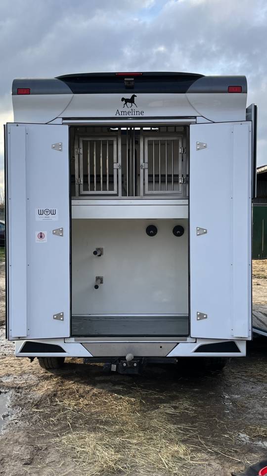 Horsebox HGV Ameline Master 3  2021 Used