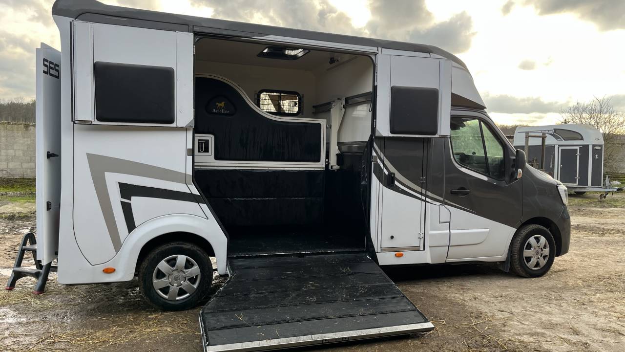 Horsebox HGV Ameline Master 3  2021 Used