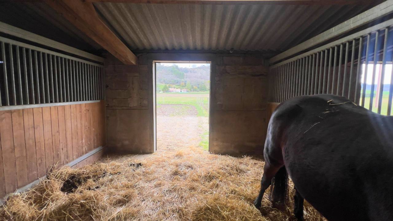 Equestrian property  Tarn-et-Taronne