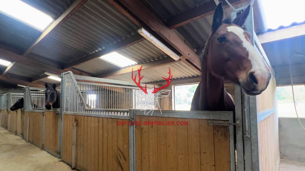 Equestrian property  Tarn-et-Taronne