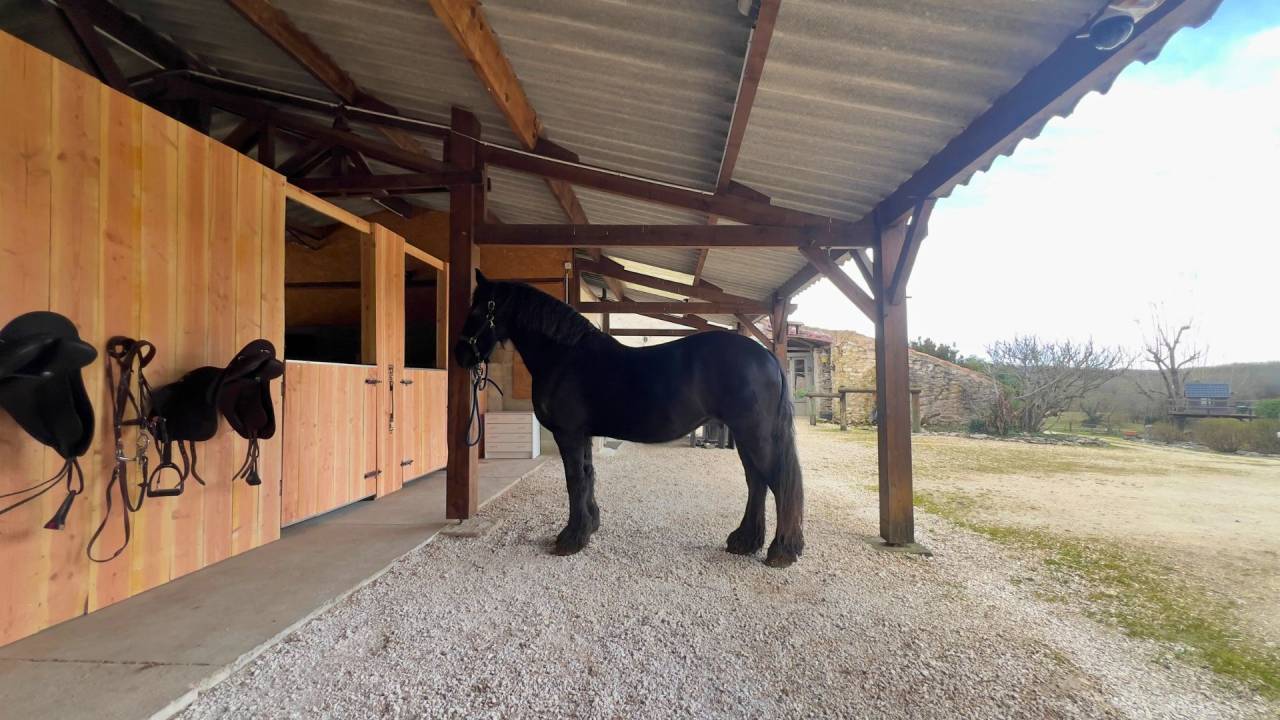 Equestrian property  Lot-et-Garonne