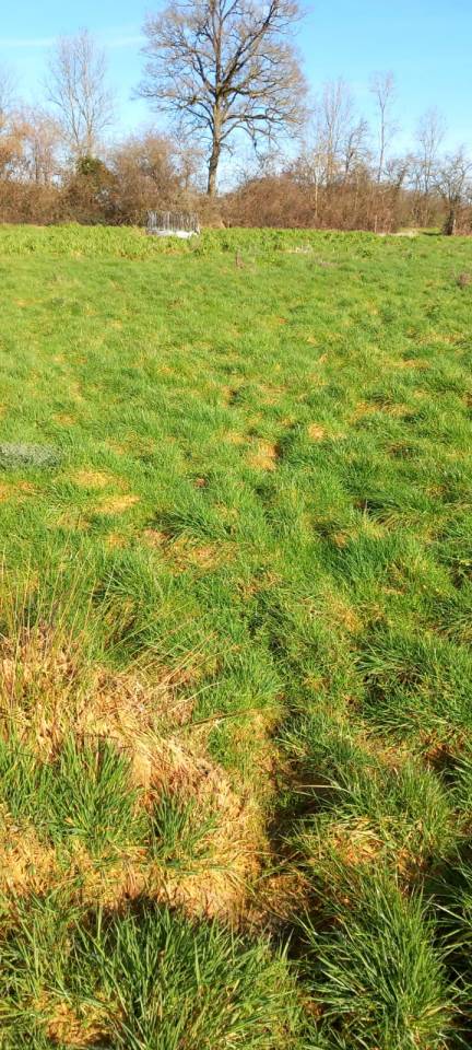 Equestrian property  Deux-S&egrave;vres