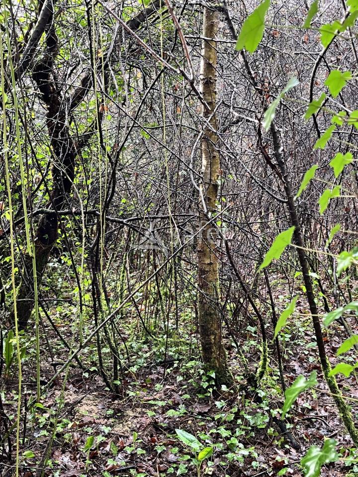 Other country property  Loire-Atlantique