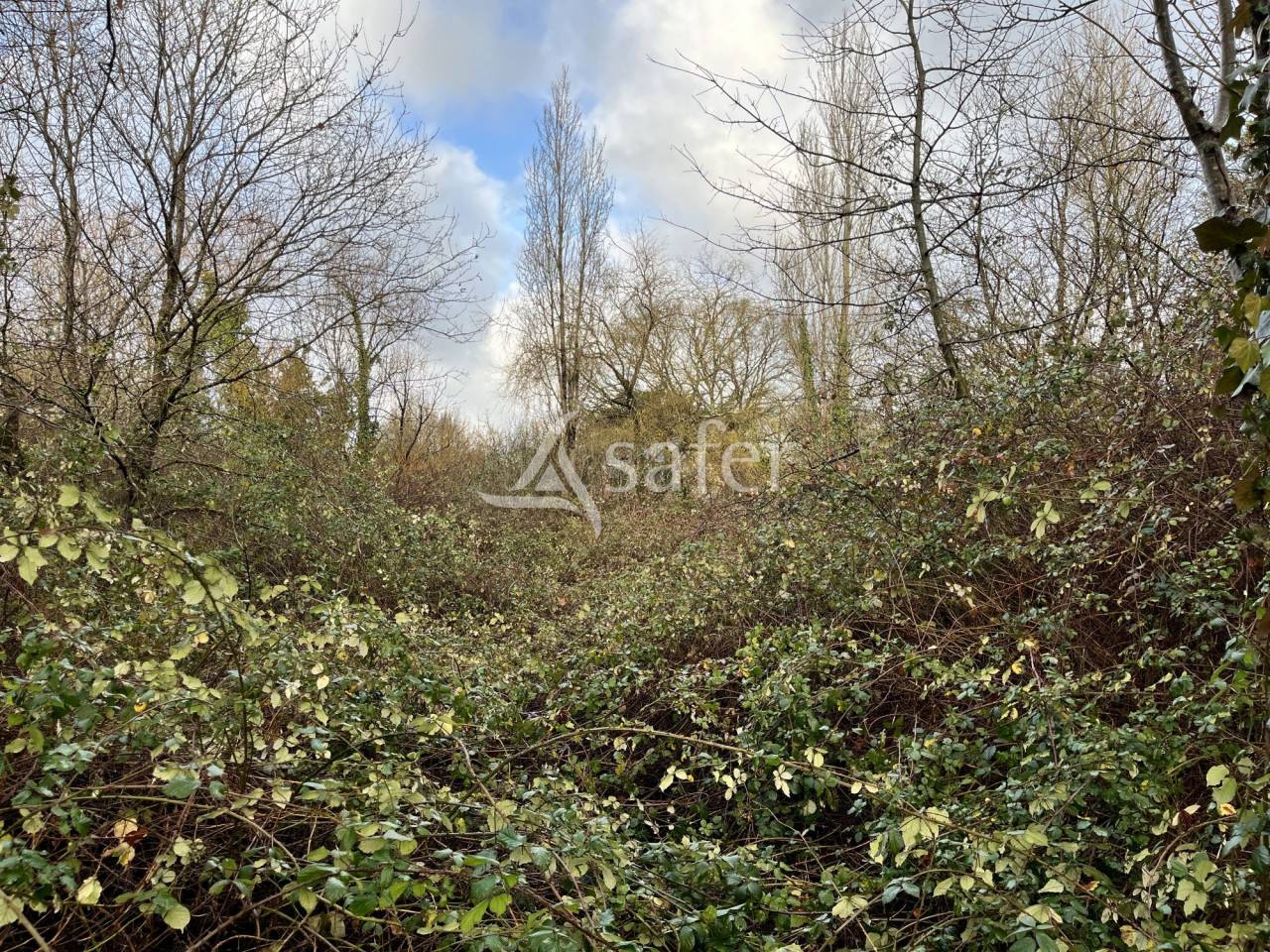 Other country property  Loire-Atlantique