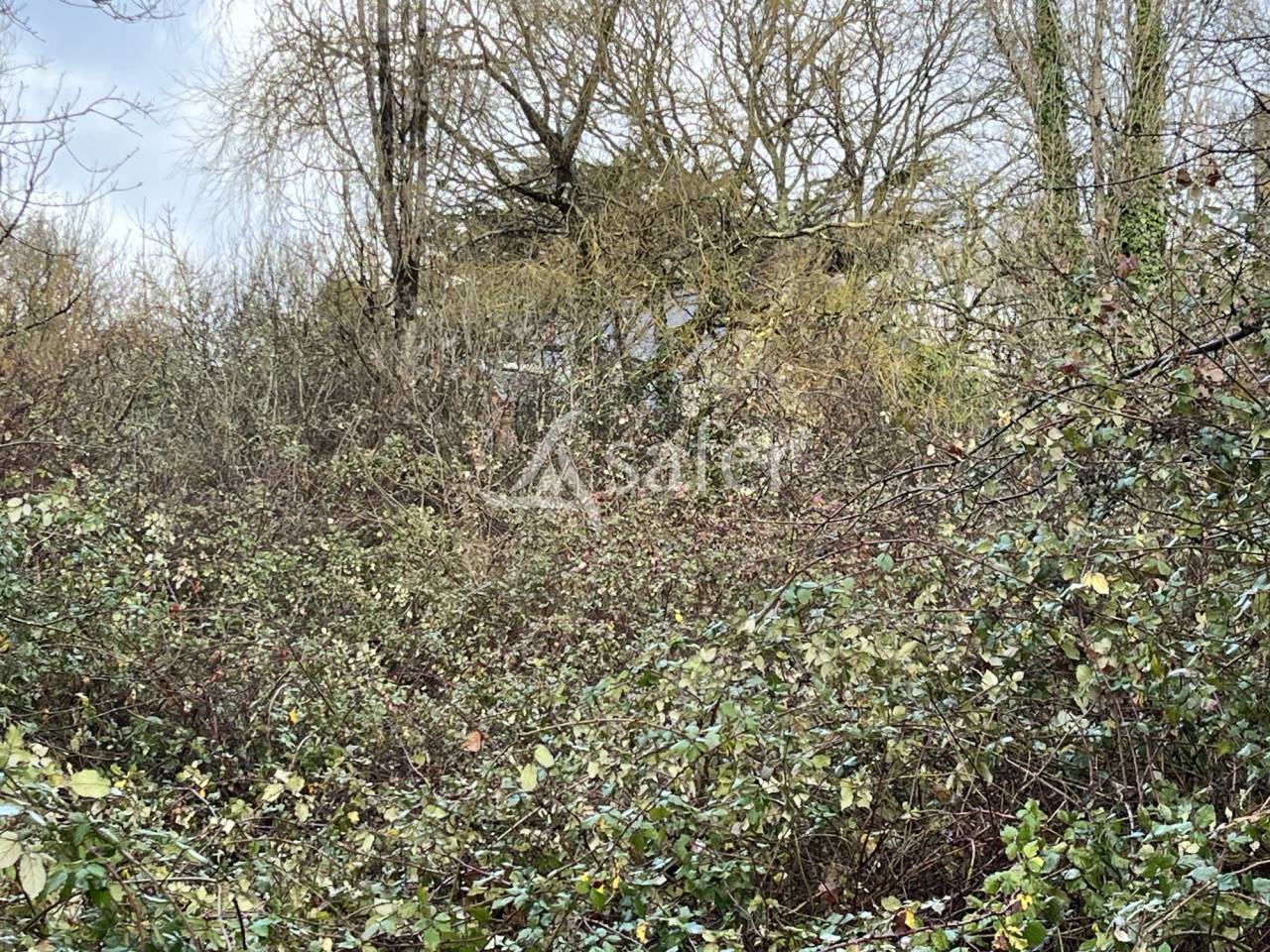 Other country property  Loire-Atlantique