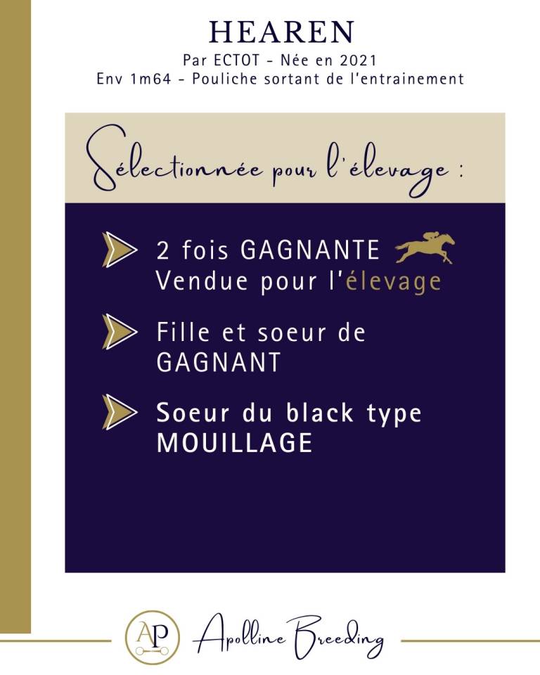 Mare Thoroughbred For sale 2021 Bay