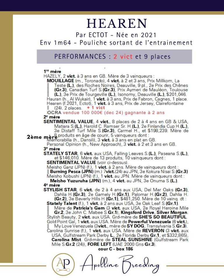 Mare Thoroughbred For sale 2021 Bay