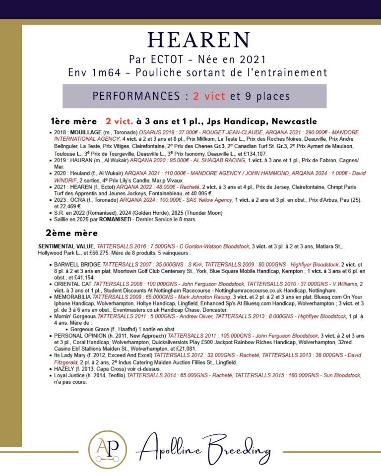 Mare Thoroughbred For sale 2021 Bay