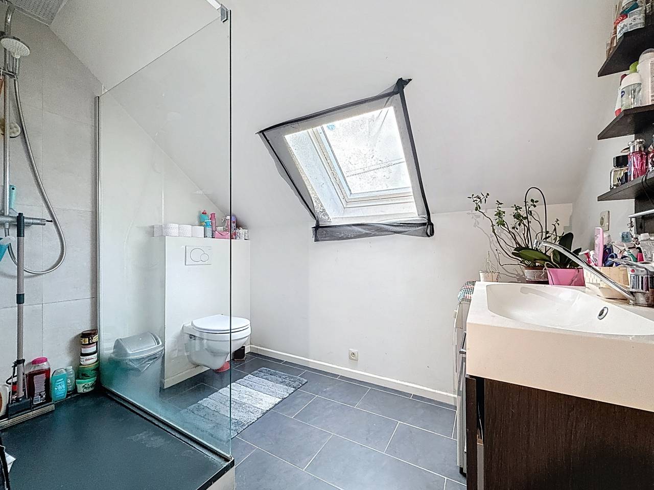 Equestrian farm  Brabant wallon