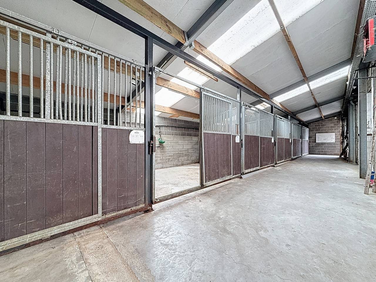 Equestrian farm  Brabant wallon