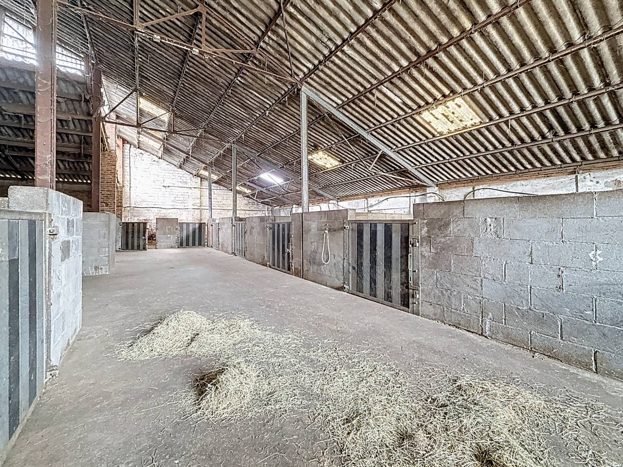 Equestrian farm  Brabant wallon
