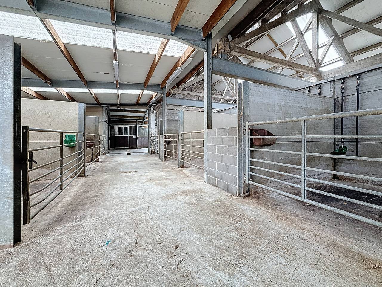 Equestrian farm  Brabant wallon