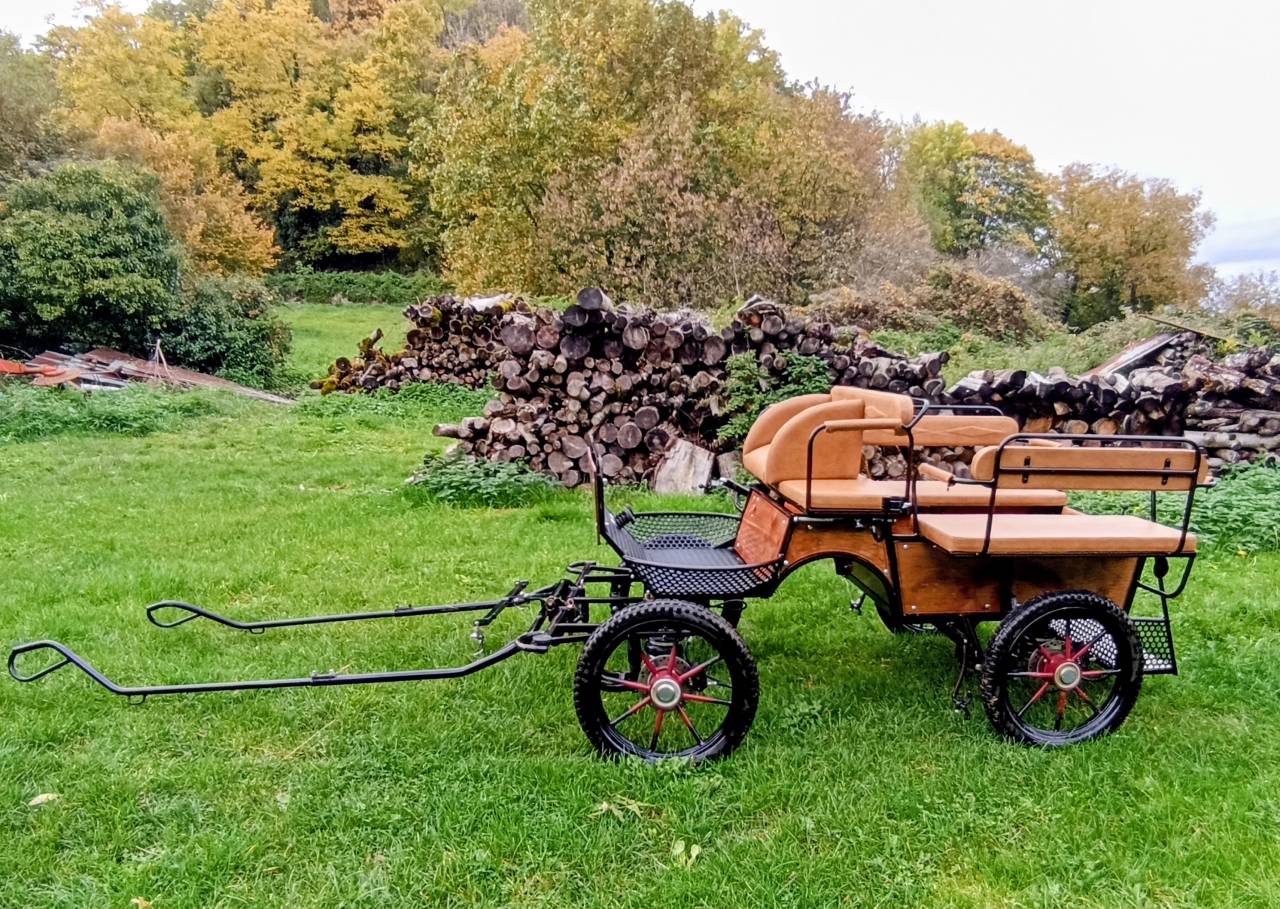 Carriage - Cal&egrave;che - Other brand - 4 roues 