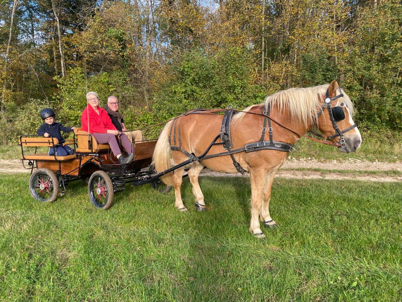 Carriage - Cal&egrave;che - Other brand - 4 roues 