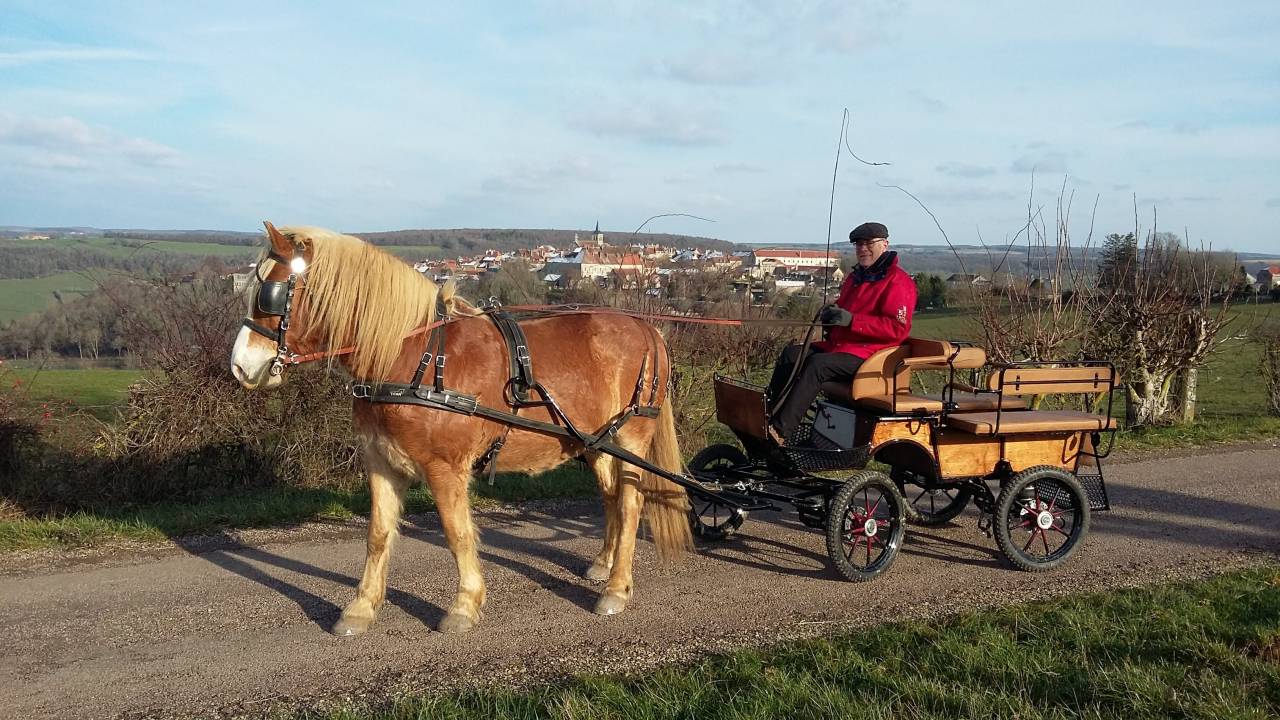Carriage - Cal&egrave;che - Other brand - 4 roues 