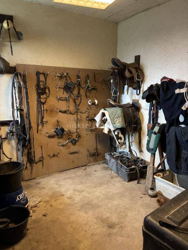 Luxurious equestrian property  Manche