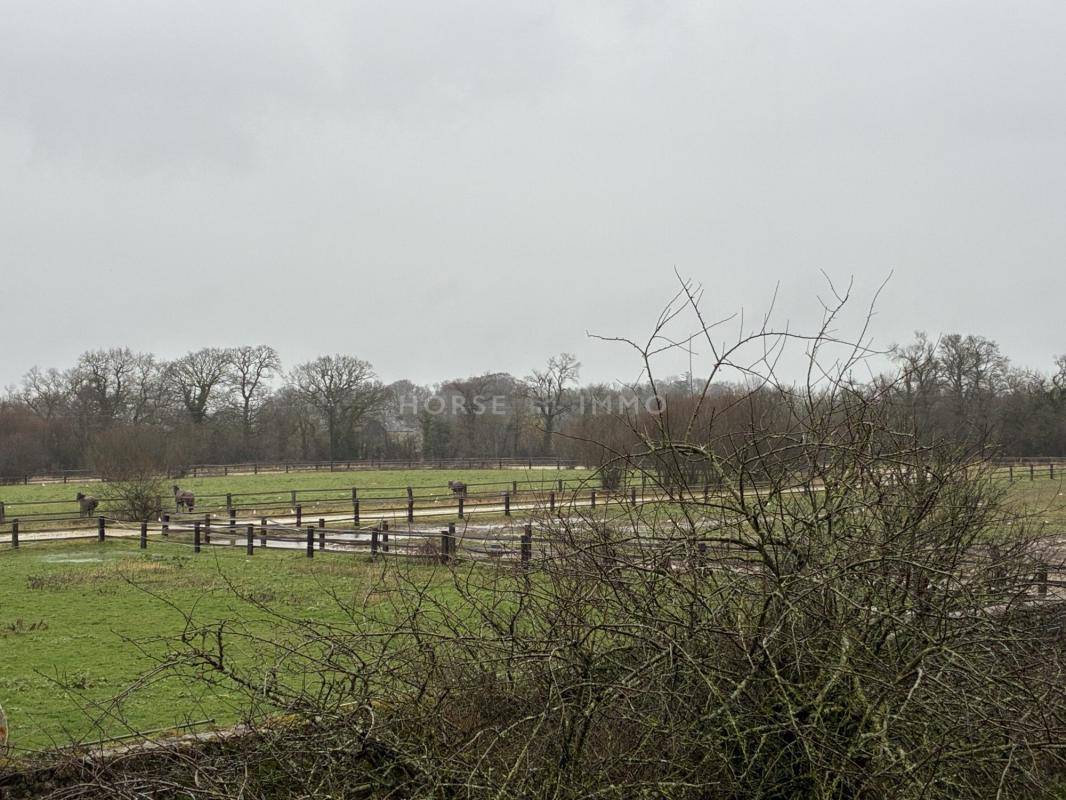 Luxurious equestrian property  Manche