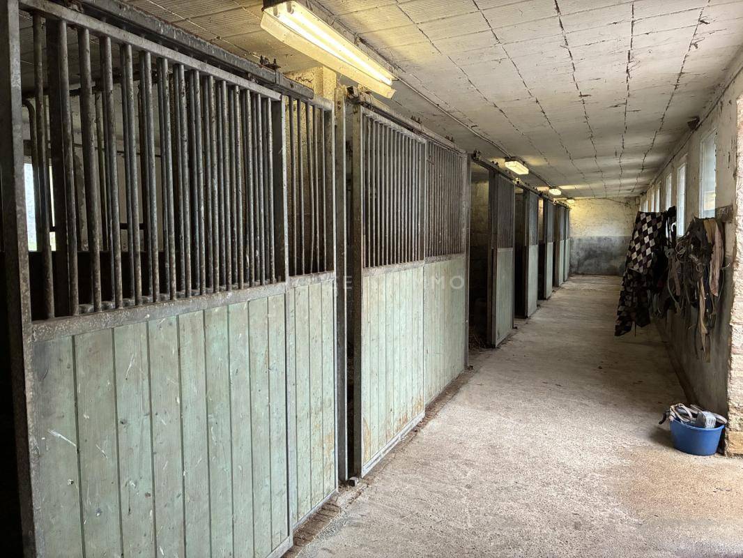 Luxurious equestrian property  Manche