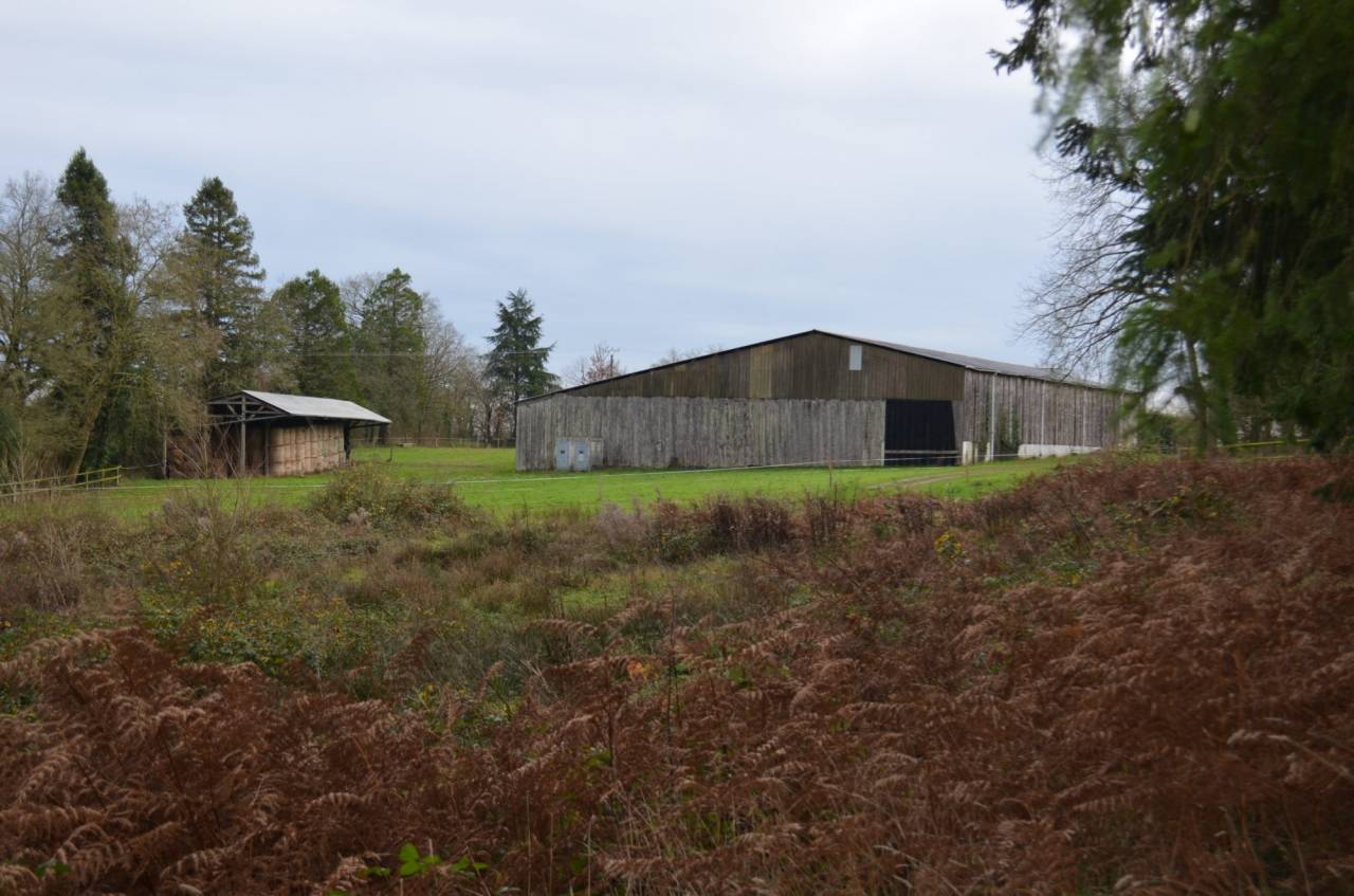 Equestrian property  Mayenne