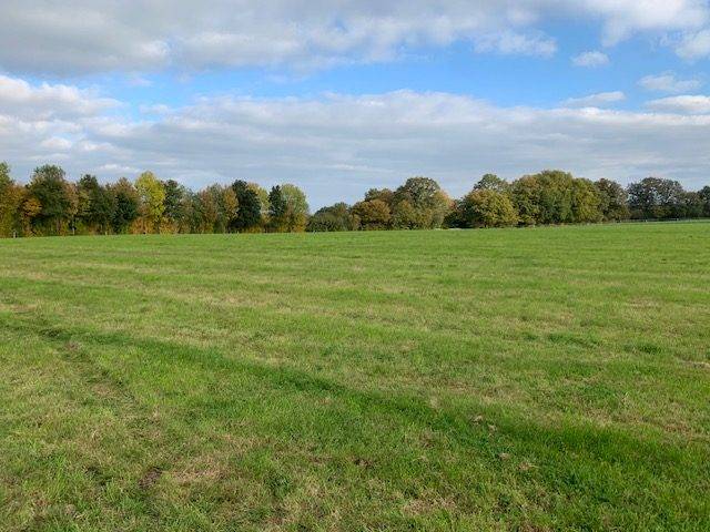 Equestrian property  Mayenne