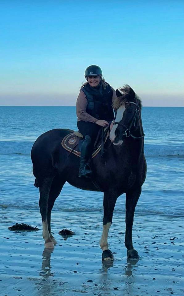 Mare French Saddle Pony For sale 2020 Liver chestnut