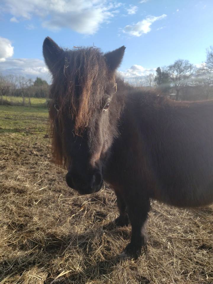 Entire Origin Recorded For sale 2023 Black