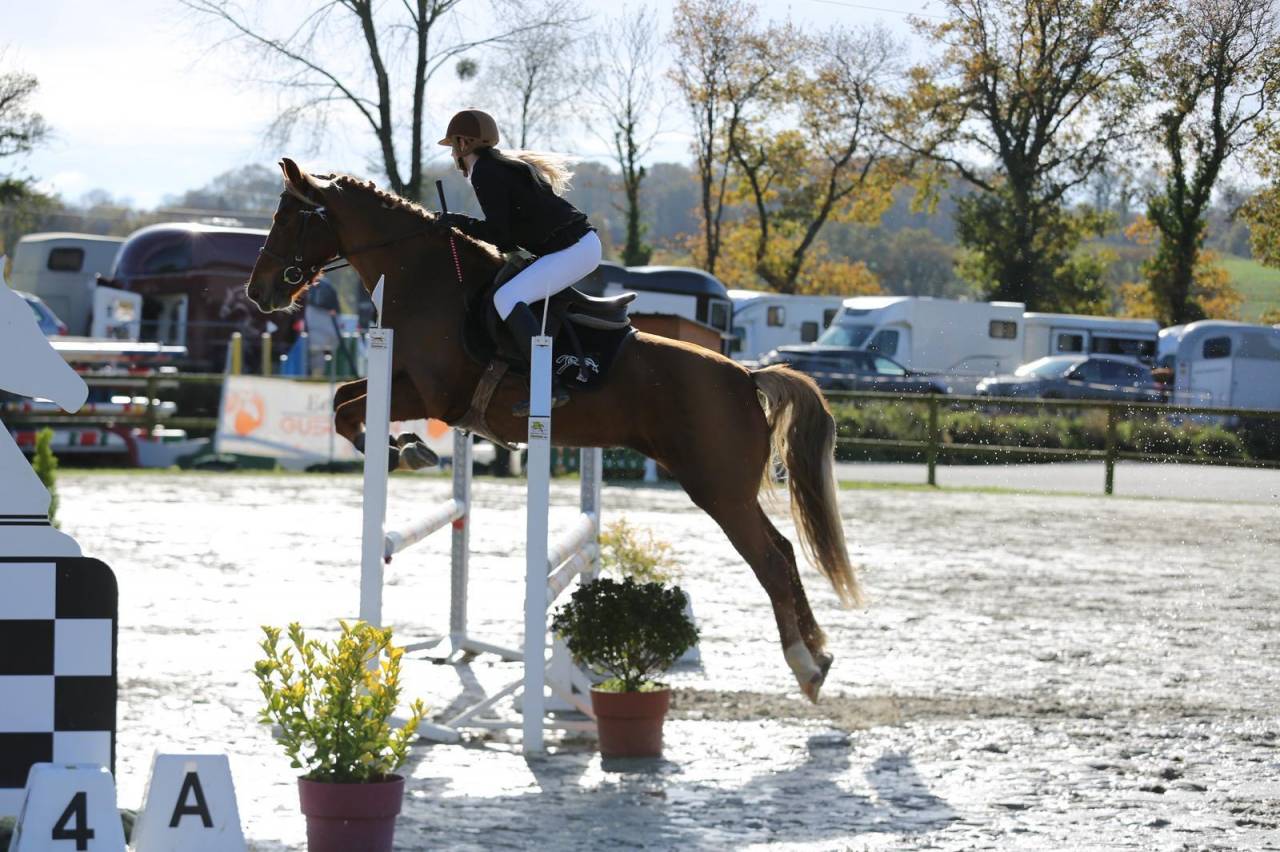 Mare French Saddle Pony For sale 2018 Chesnut