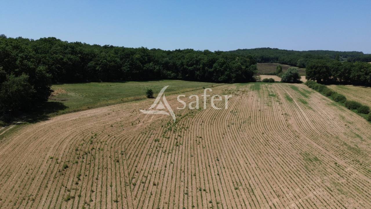 Other agricultural property  Lot-et-Garonne