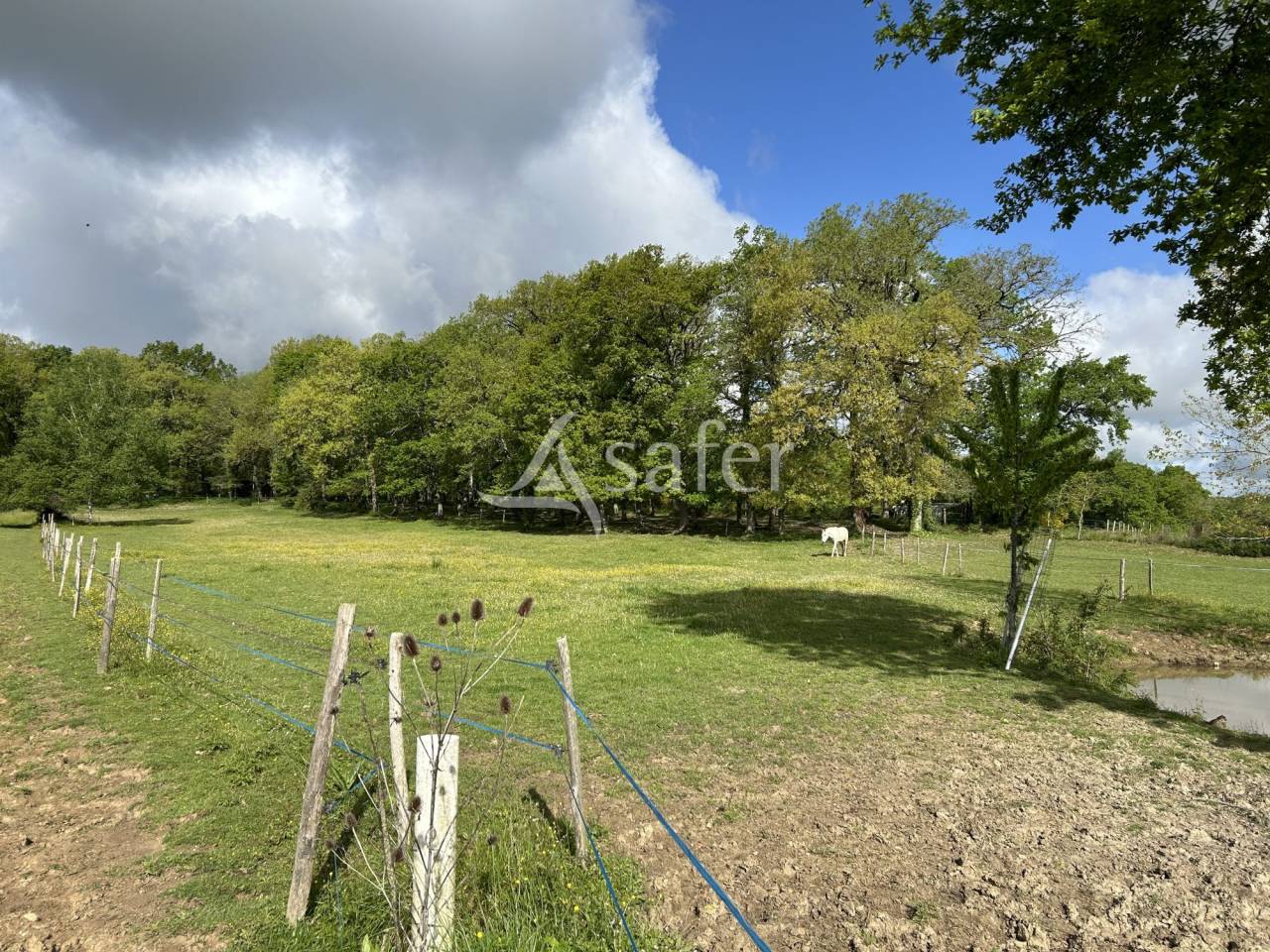 Other agricultural property  Lot-et-Garonne