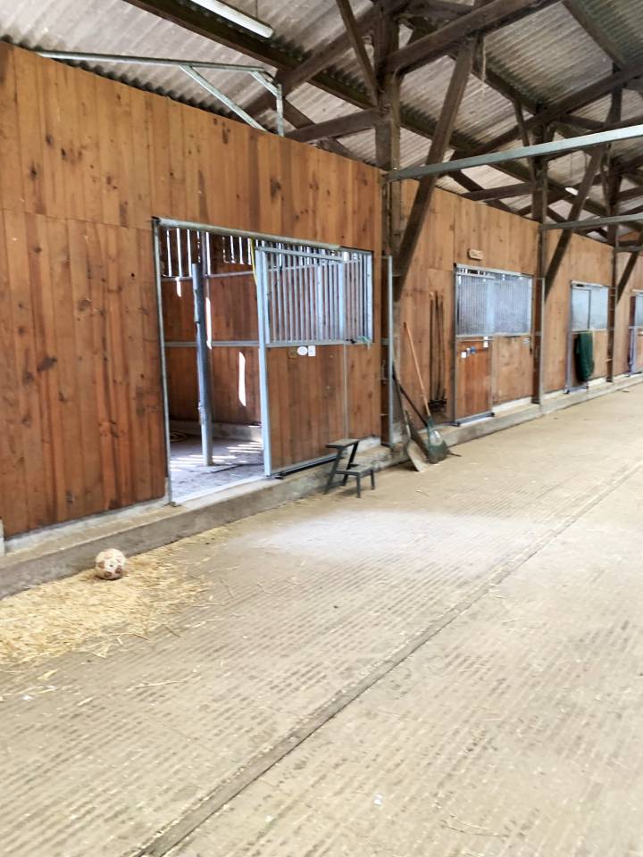 Equestrian property  Sarthe