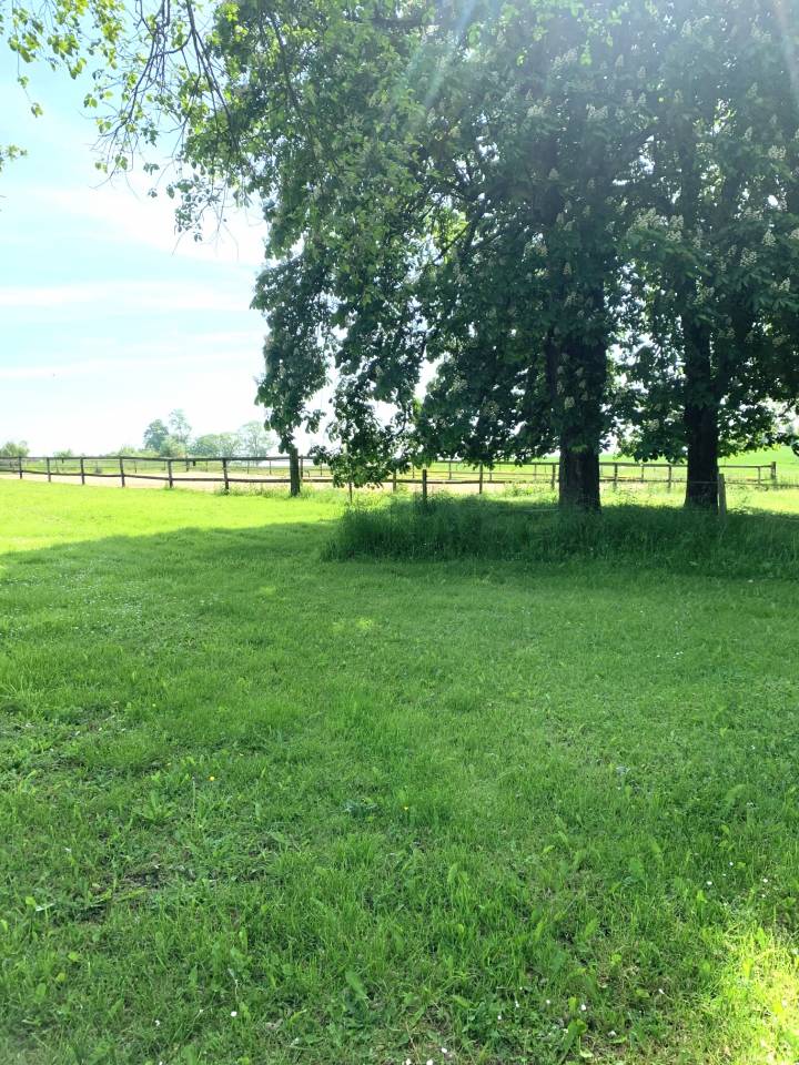 Equestrian property  Sarthe