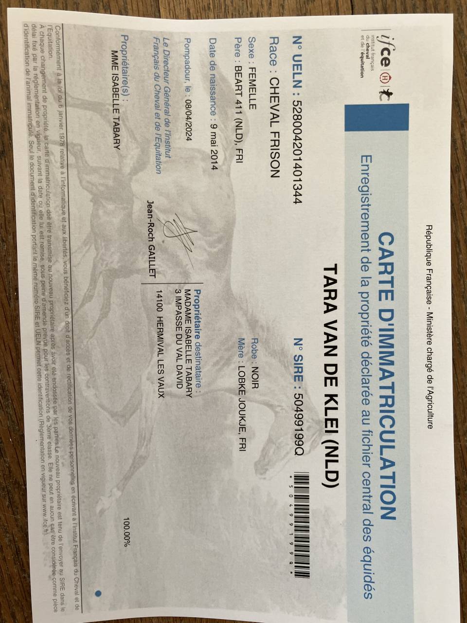 Broodmare Friesian For sale 2014 Black