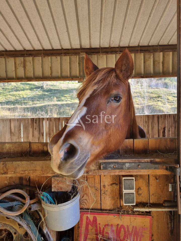 Other country property  Aude