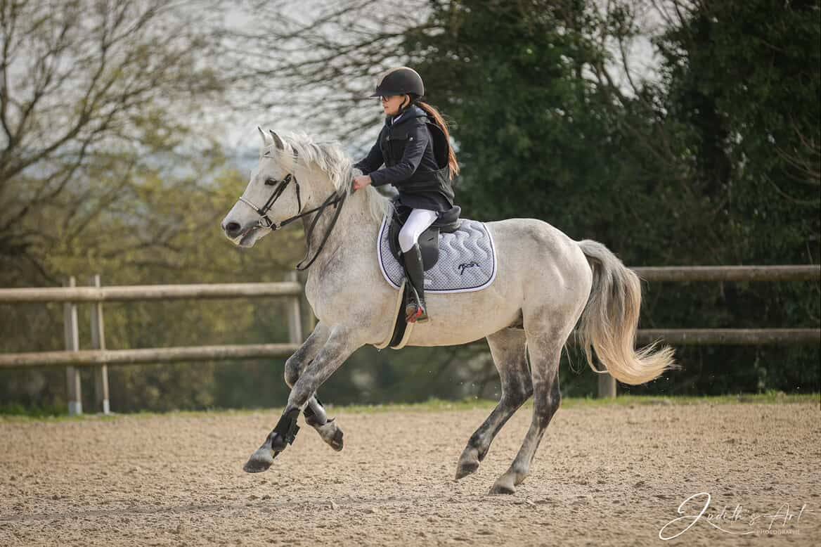 Voyage d'Arquetan - French Saddle Pony 2009 by Gribouille Villaud