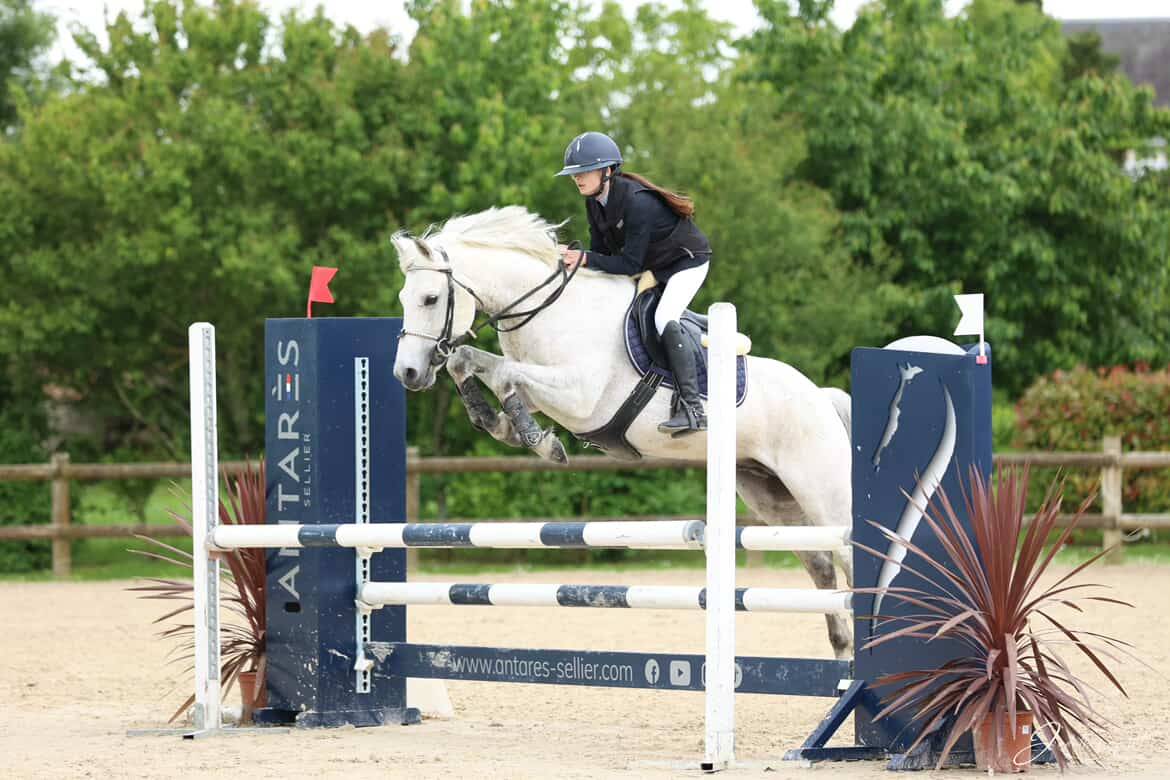 Voyage d'Arquetan - French Saddle Pony 2009 by Gribouille Villaud