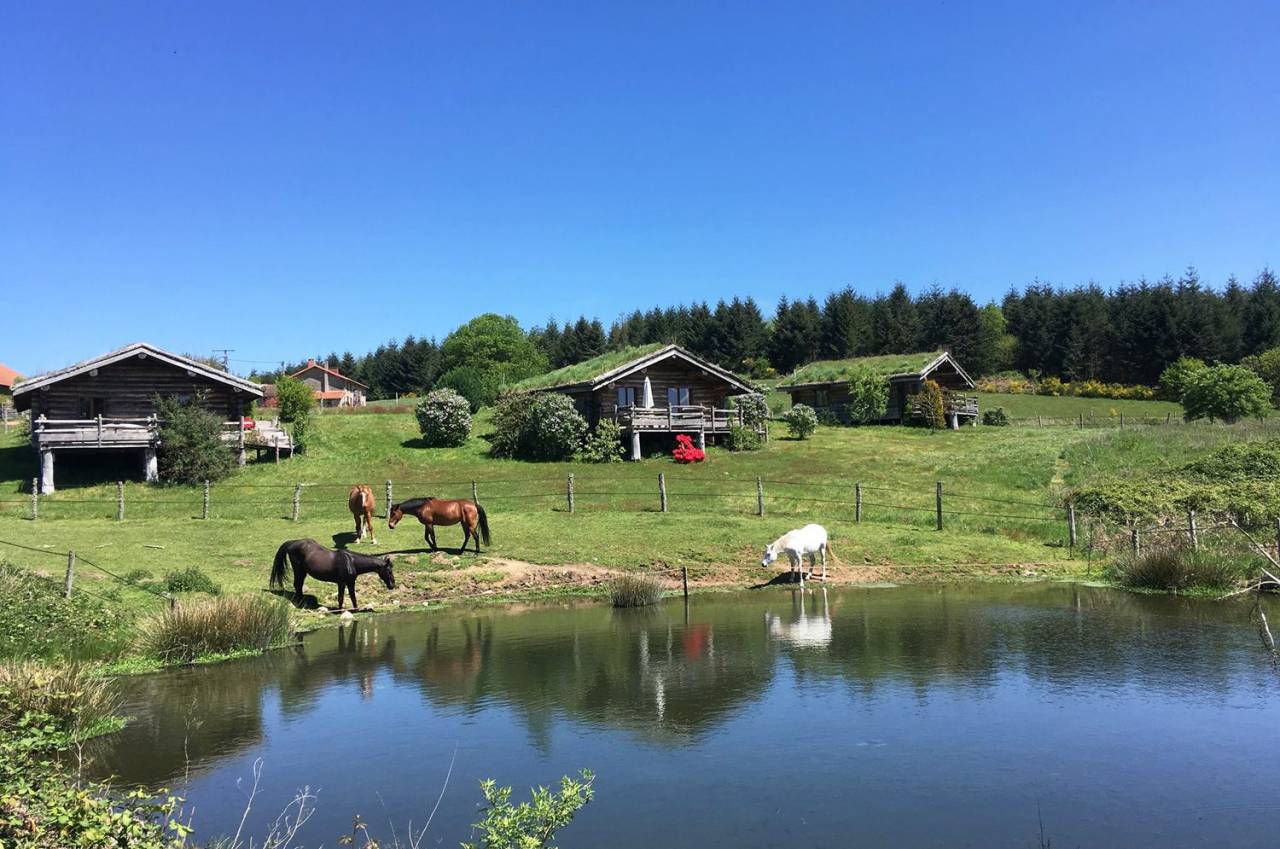 Equestrian property  Haute-Vienne