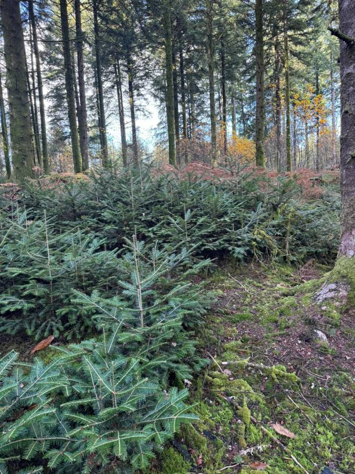 Equestrian property  Haute-Vienne