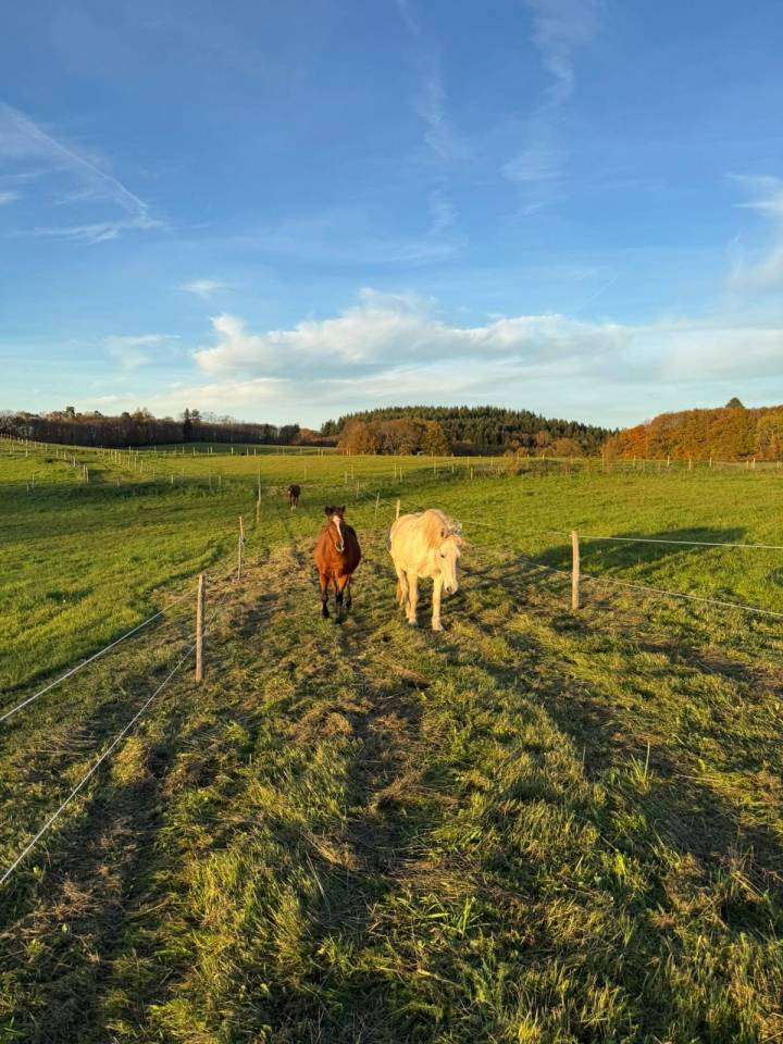 Equestrian property  Haute-Vienne