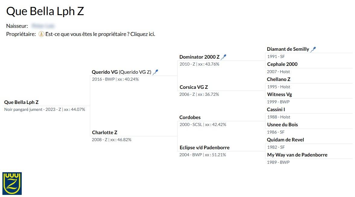 Mare Zangersheide For sale 2023 Black