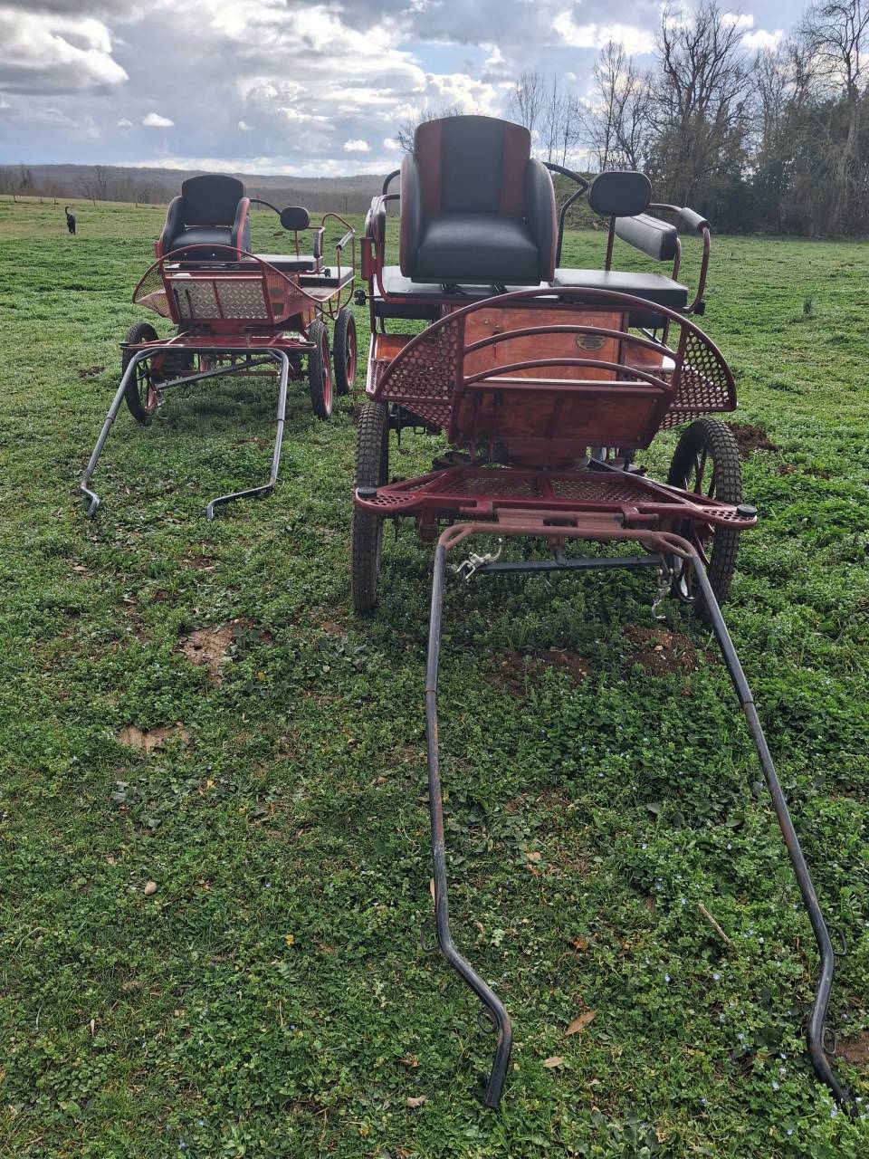 Carriage - Wagonnette - Other brand -  