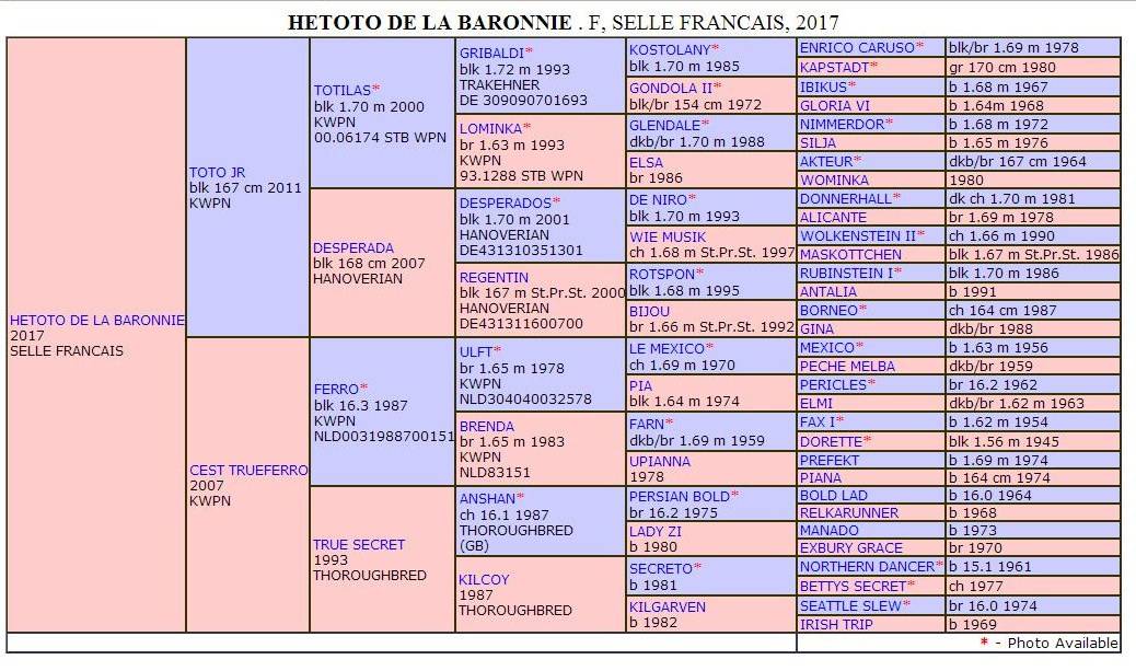 Mare Selle Fran&ccedil;ais For sale 2017 Black