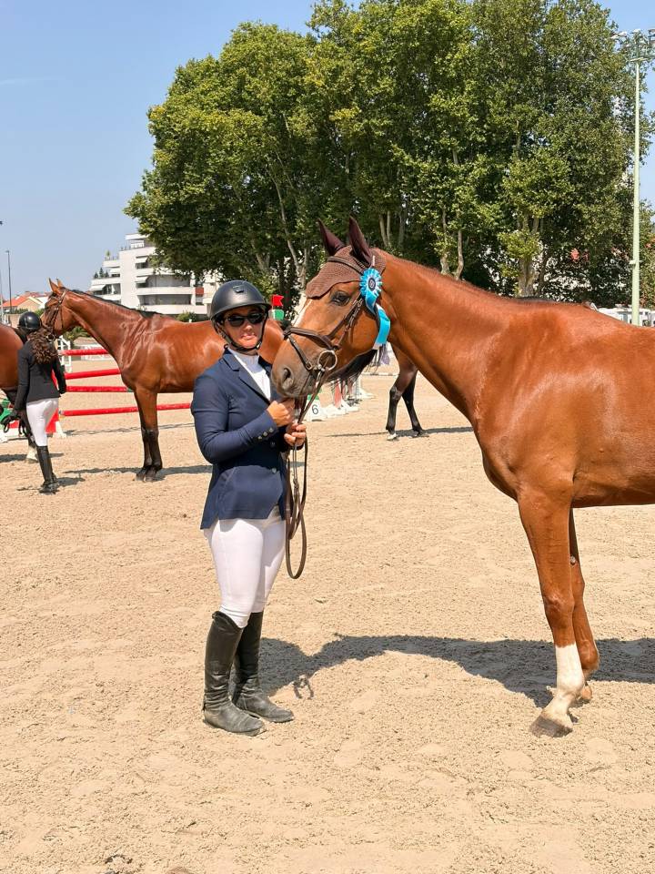 Gelding Selle Fran&ccedil;ais For sale 2020 Chesnut