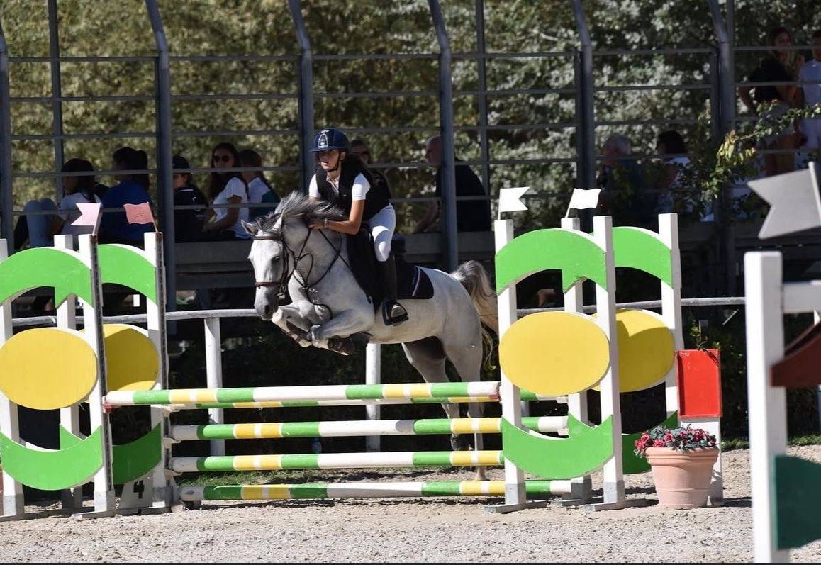 Mare Origin Recorded For sale 2020 Grey