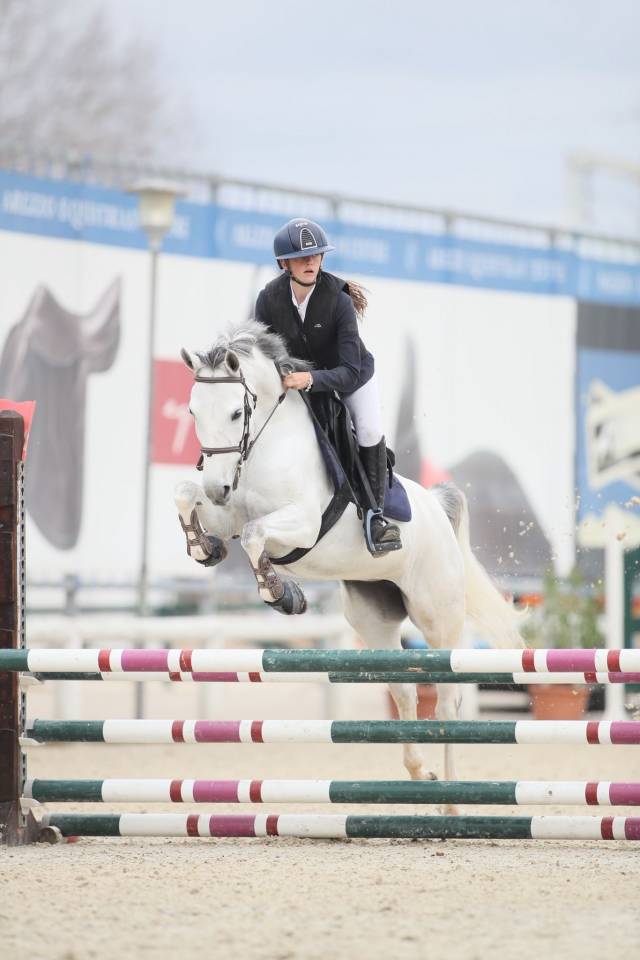 Mare Origin Recorded For sale 2020 Grey