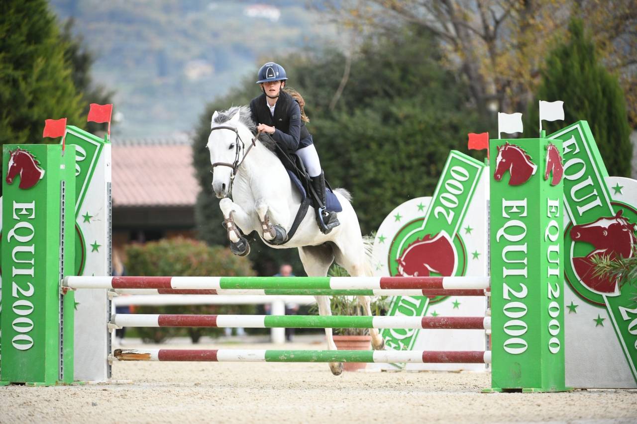 Mare Origin Recorded For sale 2020 Grey