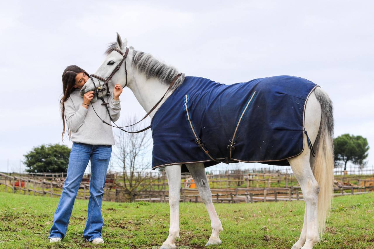 Mare Origin Recorded For sale 2020 Grey