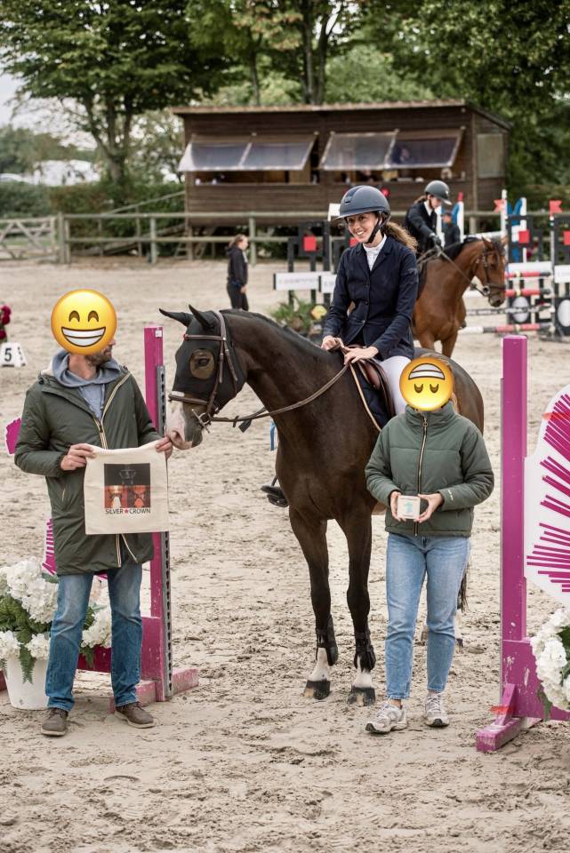 Gelding Selle Fran&ccedil;ais For sale 2015 Dark Bay