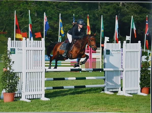 Gelding Origin Recorded For loan 2010 Bay