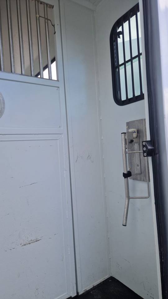 Horsebox HGV Theault peugeot  master 2013 Used