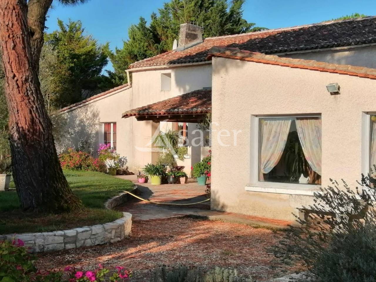 Equestrian property  Charente